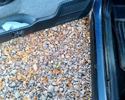 ВАЗ 2111, об'ємом двигуна 1.6 л та пробігом 240 тис. км за 1000 $, фото 3 на Automoto.ua