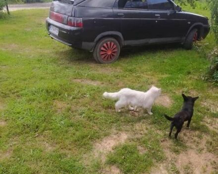 Черный ВАЗ 2112, объемом двигателя 1.6 л и пробегом 154 тыс. км за 1600 $, фото 3 на Automoto.ua