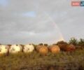 Черный ВАЗ 2112, объемом двигателя 1.6 л и пробегом 146 тыс. км за 3200 $, фото 11 на Automoto.ua
