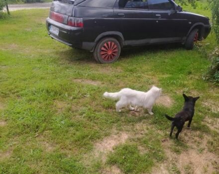 Черный ВАЗ 2112, объемом двигателя 1.6 л и пробегом 154 тыс. км за 1600 $, фото 4 на Automoto.ua