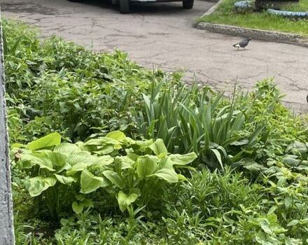 Белый ВАЗ 2113 Самара, объемом двигателя 1.6 л и пробегом 2 тыс. км за 2000 $, фото 6 на Automoto.ua