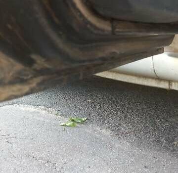 Серый ВАЗ 2115 Самара, объемом двигателя 1.6 л и пробегом 264 тыс. км за 2300 $, фото 10 на Automoto.ua