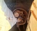 Белый ВАЗ 2121 Нива, объемом двигателя 1.6 л и пробегом 350 тыс. км за 1600 $, фото 4 на Automoto.ua
