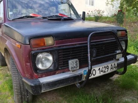 ВАЗ 2121 1984 в Тернополе на Automoto.ua Черный ВАЗ 2121, объемом двигателя 0 л и пробегом 100 тыс. км за 1000 $, фото 1 на Automoto.ua