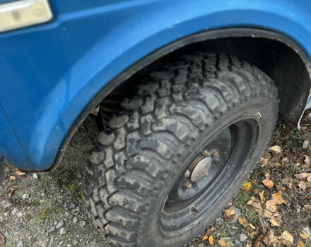 Синий ВАЗ 2121 Нива, объемом двигателя 1.57 л и пробегом 75 тыс. км за 1800 $, фото 5 на Automoto.ua