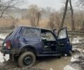 Синий ВАЗ 2121 Нива, объемом двигателя 0 л и пробегом 90 тыс. км за 3000 $, фото 8 на Automoto.ua