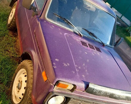 Фіолетовий ВАЗ 21213 Niva, об'ємом двигуна 1.7 л та пробігом 180 тис. км за 2000 $, фото 2 на Automoto.ua