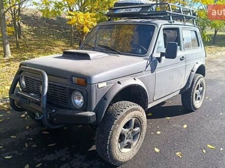 Сірий ВАЗ 21213 Niva, об'ємом двигуна 1.57 л та пробігом 20 тис. км за 4000 $, фото 1 на Automoto.ua