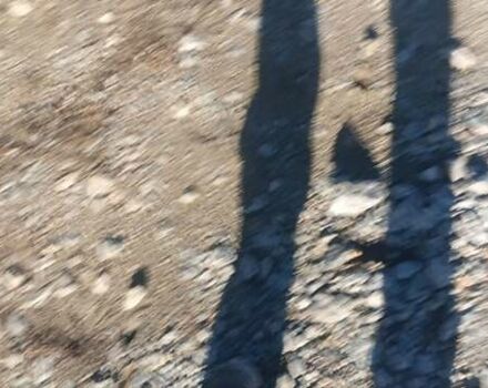 Зеленый ВАЗ 21213 Niva, объемом двигателя 1.7 л и пробегом 150 тыс. км за 2900 $, фото 45 на Automoto.ua