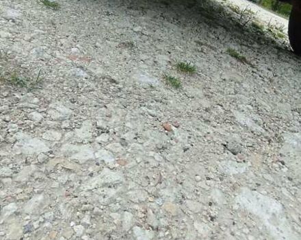 Зеленый ВАЗ 21213 Niva, объемом двигателя 1.7 л и пробегом 186 тыс. км за 1700 $, фото 6 на Automoto.ua