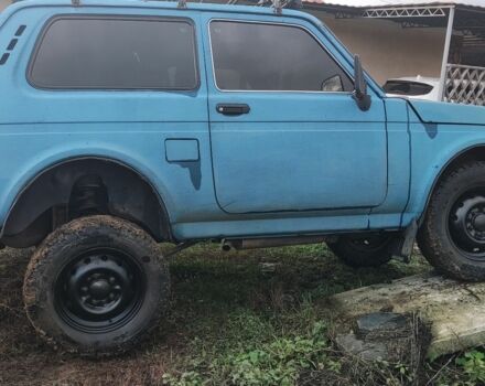 ВАЗ 21214 2008 в Чернигове на Automoto.ua Синий ВАЗ 21214, объемом двигателя 0 л и пробегом 117 тыс. км за 3800 $, фото 8 на Automoto.ua