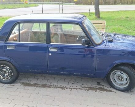 Синій ВАЗ 4310, об'ємом двигуна 1 л та пробігом 36 тис. км за 30000 $, фото 3 на Automoto.ua
