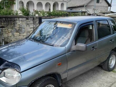 ВАЗ Другая 2005 в Черновцах на Automoto.ua Серый ВАЗ Другая, объемом двигателя 1.7 л и пробегом 210 тыс. км за 3500 $, фото 1 на Automoto.ua