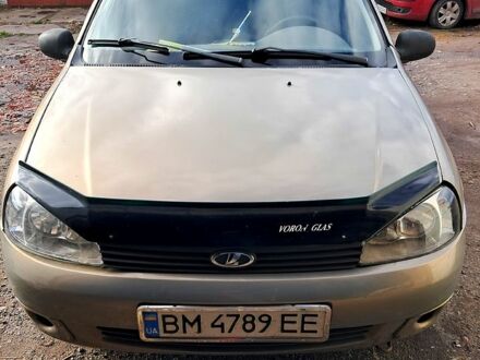 Сірий ВАЗ Kalina, об'ємом двигуна 1.6 л та пробігом 175 тис. км за 2000 $, фото 1 на Automoto.ua