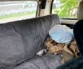 ВАЗ Нива, объемом двигателя 1.6 л и пробегом 0 тыс. км за 1000 $, фото 2 на Automoto.ua