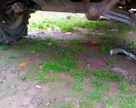 ВАЗ Нива, объемом двигателя 1.6 л и пробегом 25 тыс. км за 1500 $, фото 1 на Automoto.ua