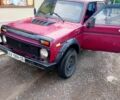 ВАЗ Нива, объемом двигателя 1.7 л и пробегом 200 тыс. км за 1100 $, фото 1 на Automoto.ua