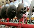Червоний Вадерстад Каррієр, об'ємом двигуна 0 л та пробігом 0 тис. км за 28482 $, фото 11 на Automoto.ua