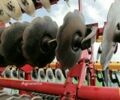 Вадерстад Каррієр, об'ємом двигуна 0 л та пробігом 0 тис. км за 28410 $, фото 11 на Automoto.ua