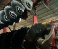 Вадерстад Каррієр, об'ємом двигуна 0 л та пробігом 0 тис. км за 25000 $, фото 3 на Automoto.ua