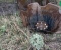 Велес-Агро АГН 2,5, объемом двигателя 0 л и пробегом 0 тыс. км за 6430 $, фото 3 на Automoto.ua
