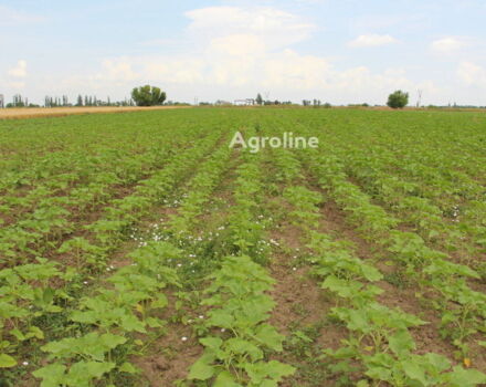 Зеленый Велес-Агро Другая, объемом двигателя 0 л и пробегом 0 тыс. км за 319005 $, фото 7 на Automoto.ua