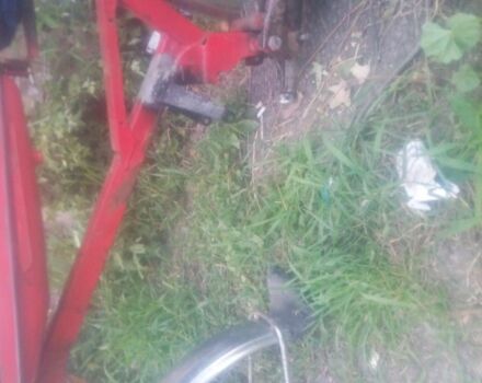 Верховина Другая, объемом двигателя 26 л и пробегом 0 тыс. км за 36 $, фото 6 на Automoto.ua