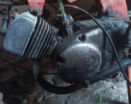 Верховина Інша, об'ємом двигуна 49 л та пробігом 0 тис. км за 77 $, фото 4 на Automoto.ua