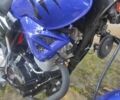 Синий Вайпер 150, объемом двигателя 0.15 л и пробегом 6 тыс. км за 604 $, фото 8 на Automoto.ua