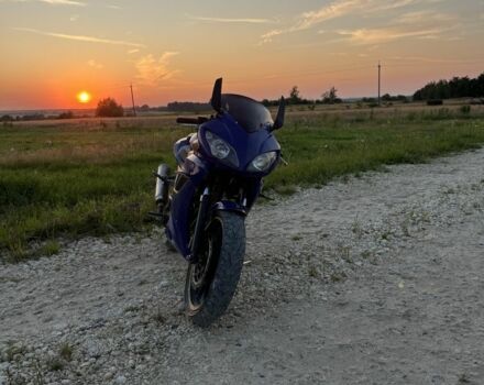 Вайпер Ф2, об'ємом двигуна 0.25 л та пробігом 0 тис. км за 790 $, фото 8 на Automoto.ua