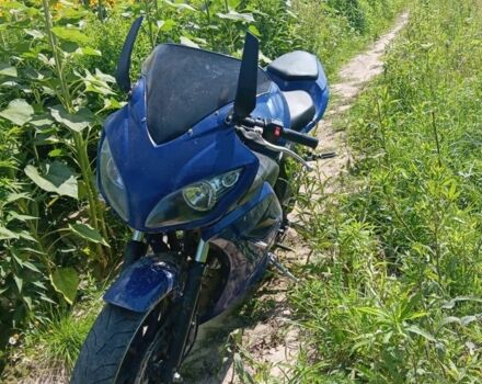 Вайпер Ф2, об'ємом двигуна 0.25 л та пробігом 0 тис. км за 790 $, фото 7 на Automoto.ua