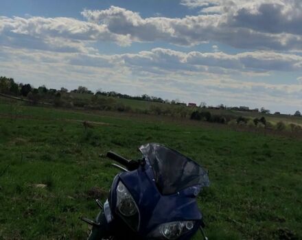 Вайпер Ф2, об'ємом двигуна 0.25 л та пробігом 0 тис. км за 790 $, фото 1 на Automoto.ua