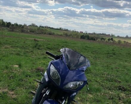 Вайпер Ф2, об'ємом двигуна 0.25 л та пробігом 0 тис. км за 790 $, фото 2 на Automoto.ua