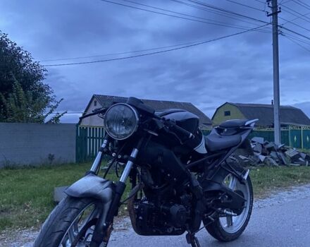 Вайпер Р1, об'ємом двигуна 0.25 л та пробігом 0 тис. км за 583 $, фото 4 на Automoto.ua