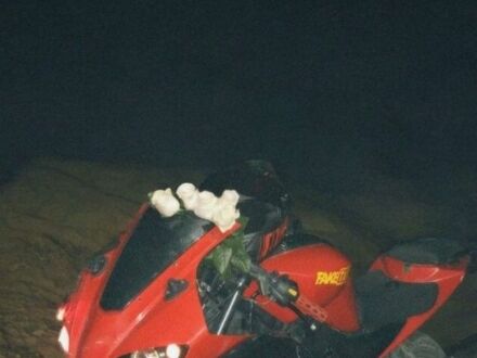 Вайпер Р1, объемом двигателя 0.2 л и пробегом 0 тыс. км за 600 $, фото 1 на Automoto.ua