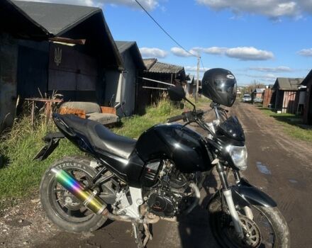 Вайпер Р2, объемом двигателя 0.2 л и пробегом 0 тыс. км за 800 $, фото 2 на Automoto.ua
