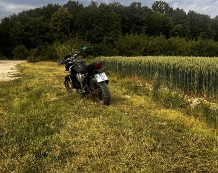 Вайпер Р2, об'ємом двигуна 0.2 л та пробігом 0 тис. км за 714 $, фото 15 на Automoto.ua