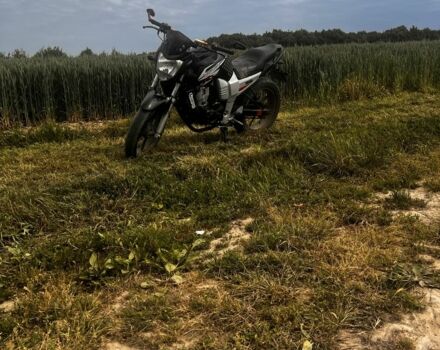 Вайпер Р2, об'ємом двигуна 0.2 л та пробігом 0 тис. км за 714 $, фото 12 на Automoto.ua