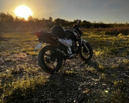 Вайпер Р2, об'ємом двигуна 0.2 л та пробігом 0 тис. км за 714 $, фото 5 на Automoto.ua