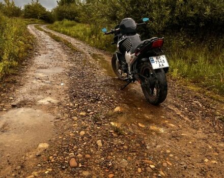 Вайпер Р2, об'ємом двигуна 0.2 л та пробігом 0 тис. км за 714 $, фото 11 на Automoto.ua