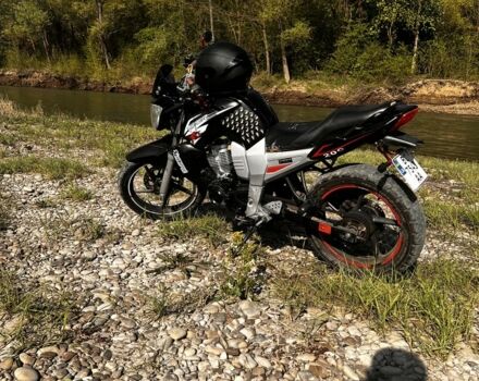 Вайпер Р2, об'ємом двигуна 0.2 л та пробігом 0 тис. км за 714 $, фото 2 на Automoto.ua