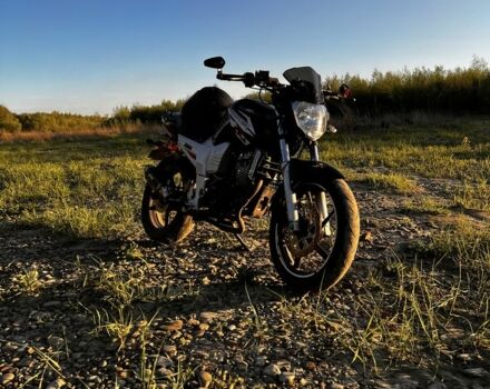 Вайпер Р2, об'ємом двигуна 0.2 л та пробігом 0 тис. км за 714 $, фото 6 на Automoto.ua