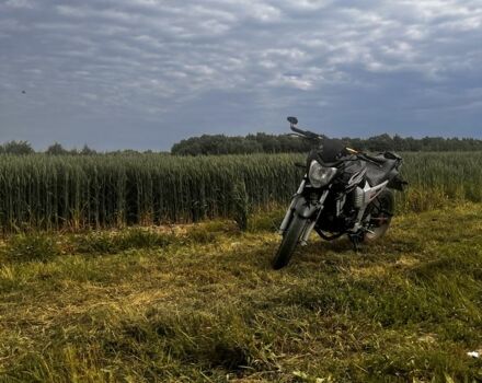 Вайпер Р2, об'ємом двигуна 0.2 л та пробігом 0 тис. км за 714 $, фото 14 на Automoto.ua