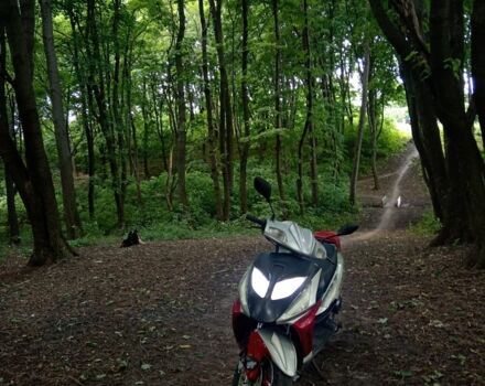 Вайпер Шторм, объемом двигателя 49 л и пробегом 0 тыс. км за 296 $, фото 3 на Automoto.ua