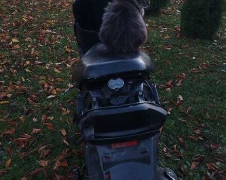 Чорний Вайпер Wind, об'ємом двигуна 0.8 л та пробігом 8 тис. км за 300 $, фото 1 на Automoto.ua