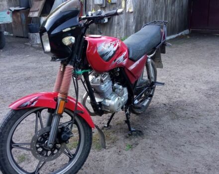 Вайпер Інша, об'ємом двигуна 0.13 л та пробігом 0 тис. км за 557 $, фото 6 на Automoto.ua