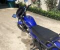 Вайпер Інша, об'ємом двигуна 0.15 л та пробігом 0 тис. км за 750 $, фото 2 на Automoto.ua