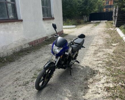 Вайпер Інша, об'ємом двигуна 0.15 л та пробігом 0 тис. км за 650 $, фото 2 на Automoto.ua