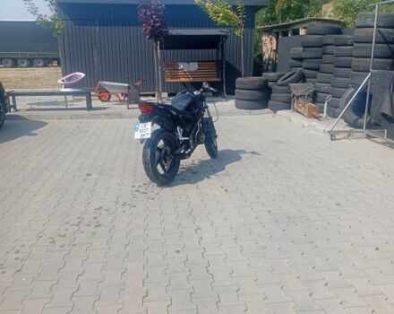 Вайпер Інша, об'ємом двигуна 0.2 л та пробігом 0 тис. км за 1200 $, фото 2 на Automoto.ua
