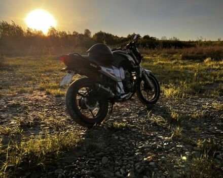 Вайпер Другая, объемом двигателя 0.2 л и пробегом 0 тыс. км за 992 $, фото 4 на Automoto.ua